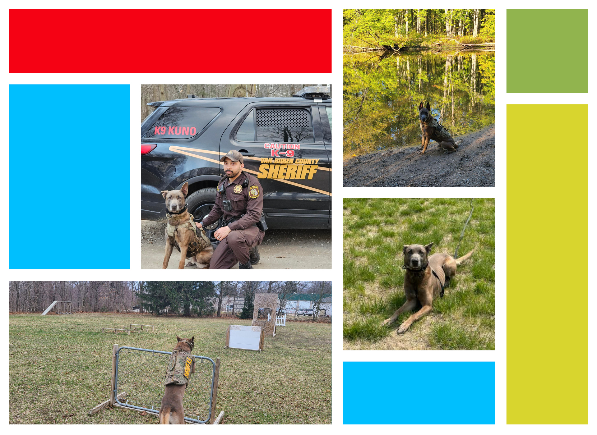 4 picture collage of kuno, a brown dog, at work and training