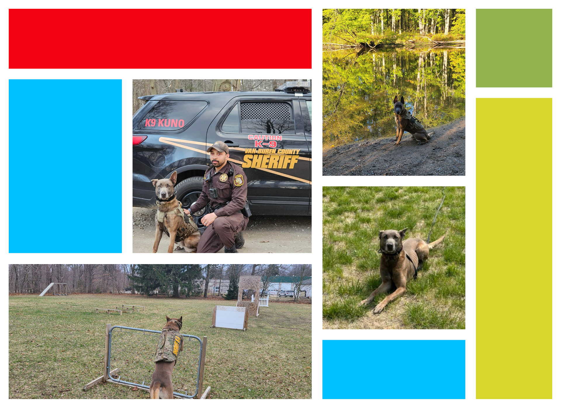 4 picture collage of kuno, a brown dog, at work and training